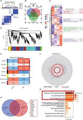 Single-cell multi-omics analysis reveals dysfunctional Wnt signaling of spermatogonia in non-obstructive azoospermia